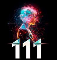 Projeto 111